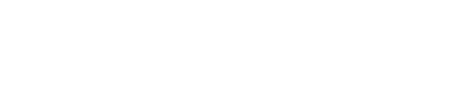 Logotipo Blanco de la firma Belén de Quintana Atelier Boleras Flamencas